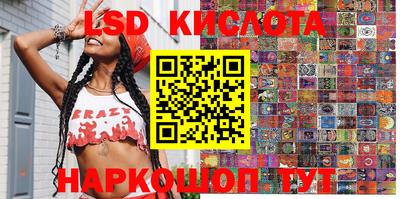 мдпв Гатчина