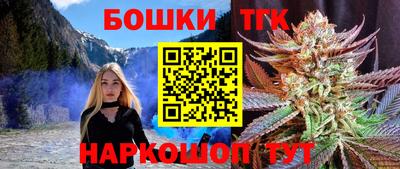 мдпв Гатчина