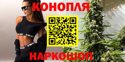 мдпв Гатчина