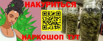 мдпв Гатчина